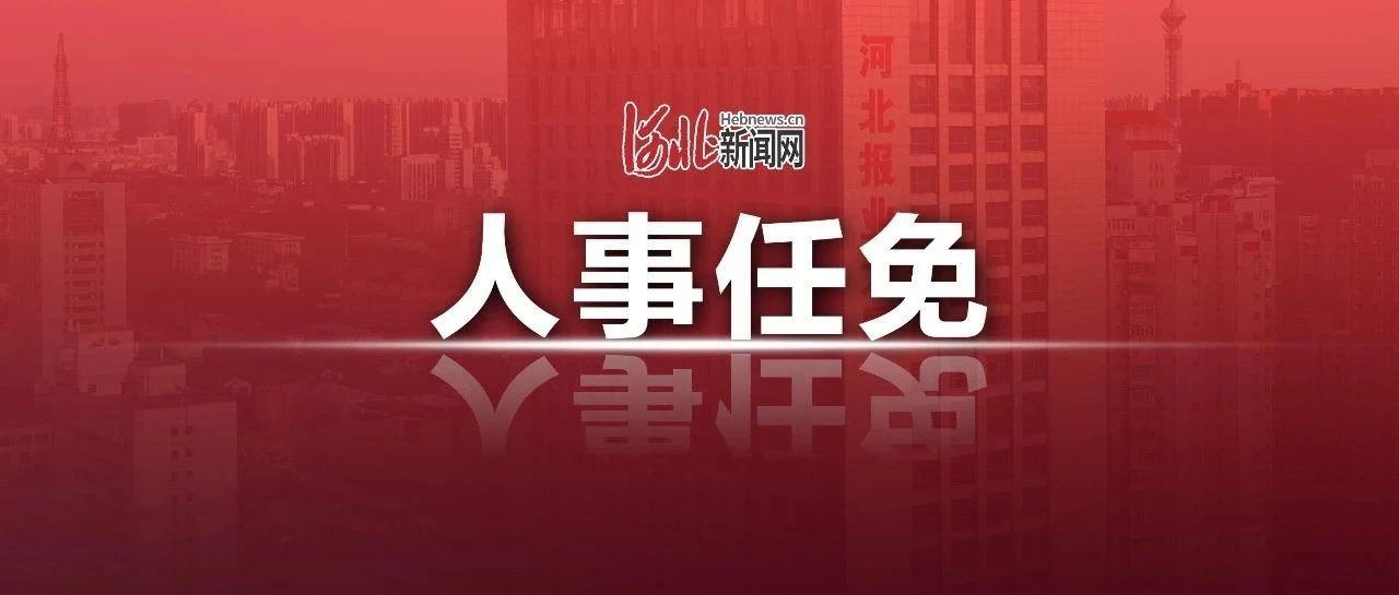 副市长、主任、局长…
