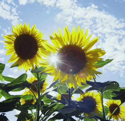 杭州市区零下4℃！注意，年度压轴冷空气来袭！下雪的日子可能在这天...休闲区蓝鸢梦想 - Www.slyday.coM