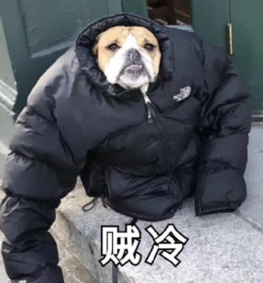 杭州市区零下4℃！注意，年度压轴冷空气来袭！下雪的日子可能在这天...休闲区蓝鸢梦想 - Www.slyday.coM