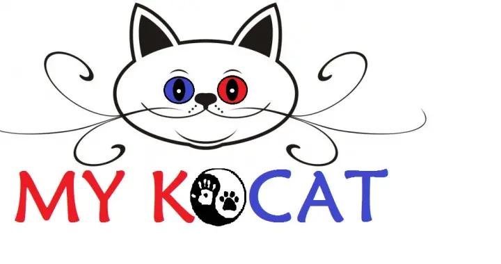 朴槿惠胞妹参加韩国总统大选：搅局都不够分量