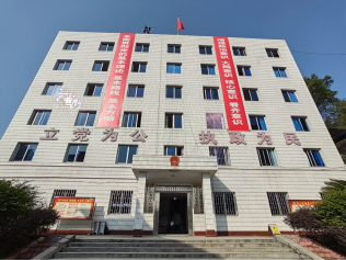 石全石美为家添彩巴南区石龙镇全方位助推辖区经济发展