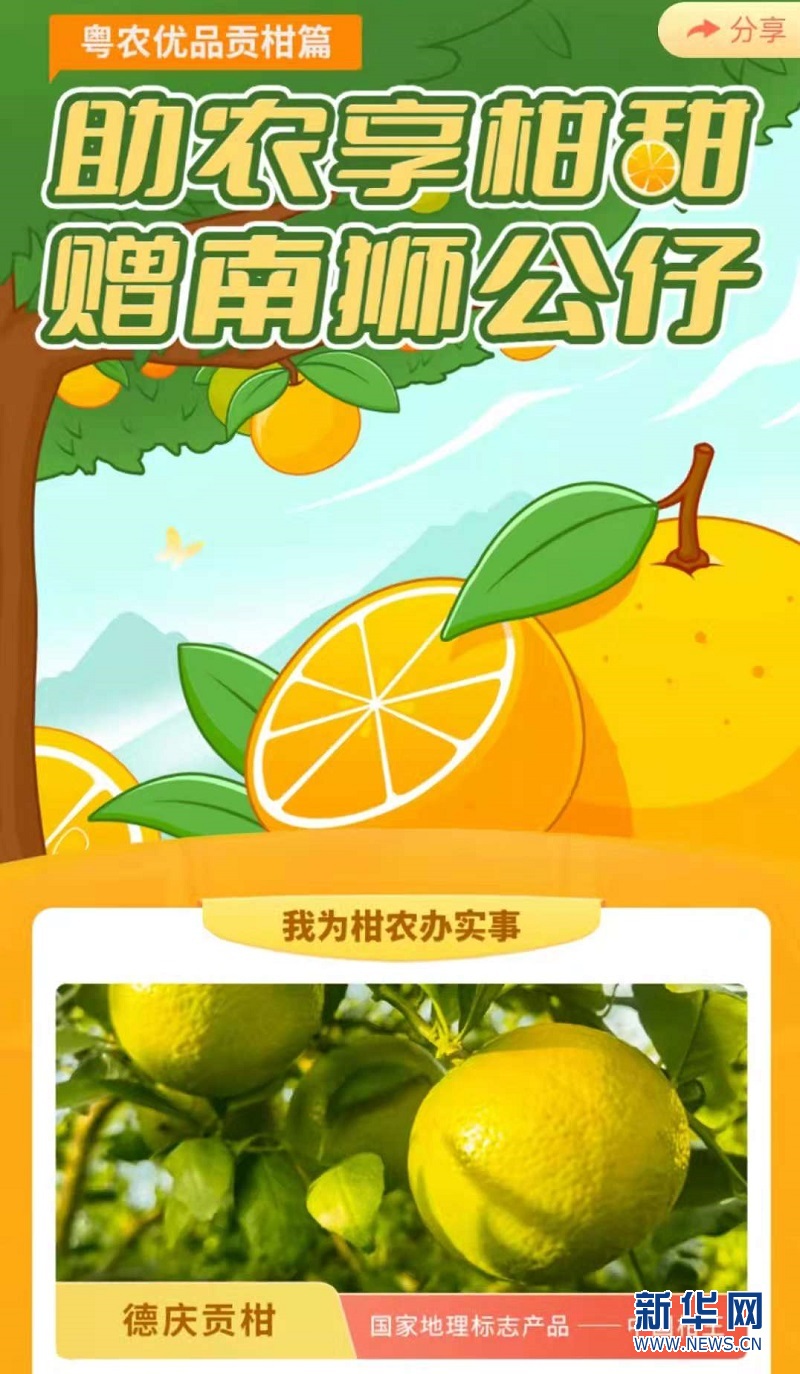 贡享柑甜德庆贡柑上线粤省事
