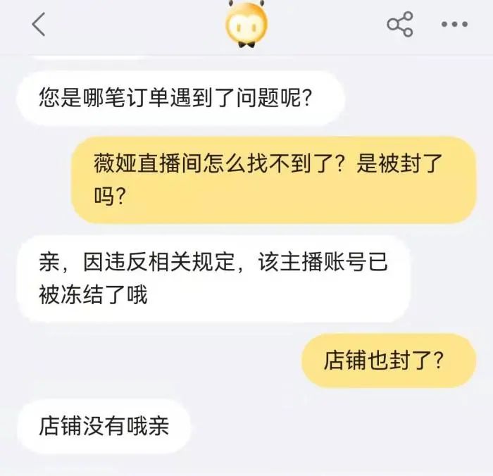 90亿元财富的薇娅夫妇，商业版图坍塌 业内人士：她不是最后一个休闲区蓝鸢梦想 - Www.slyday.coM