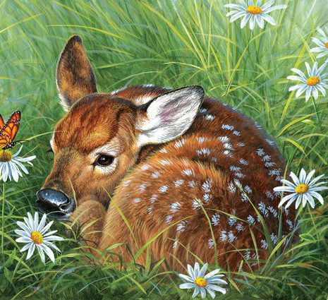 今年圣诞就画这个妆！休闲区蓝鸢梦想 - Www.slyday.coM