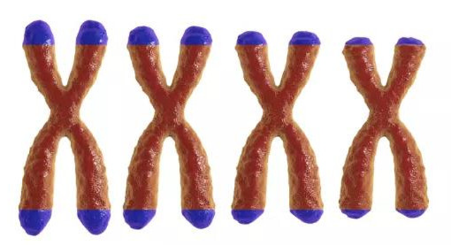 继生物酶之后,科学家发现高压氧疗法拉伸20%端粒长度,与寿命相关