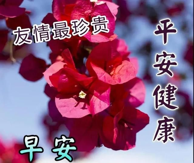 创意唯美亲人朋友早上好祝福语图片大全冬日清晨早安问候语图片