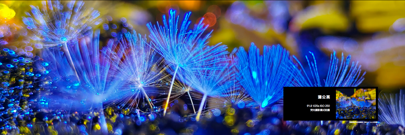 华为p50宝盒荧光摄影得益于超光谱影像单元