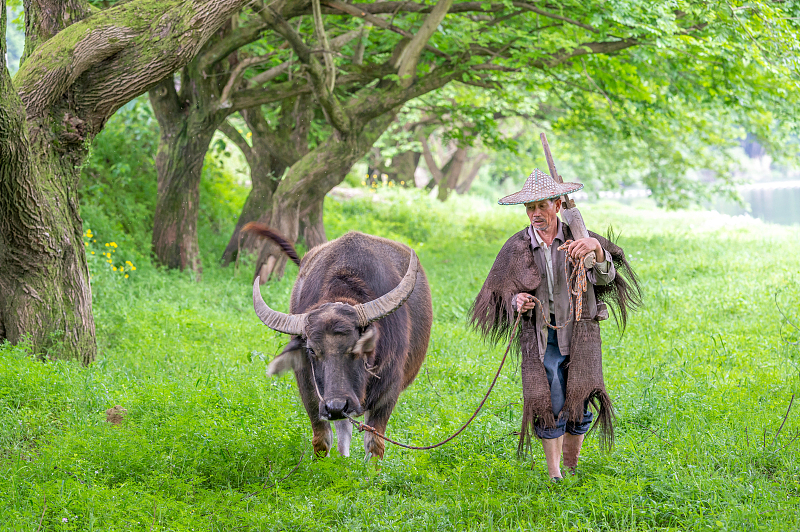 生肖牛近期家中可能会有人员调动,还是看一看为什么吧休闲区蓝鸢梦想 - Www.slyday.coM 生肖牛近期家中可能会有人员调动,还是看一看为什么吧休闲区蓝鸢梦想 - Www.slyday.coM