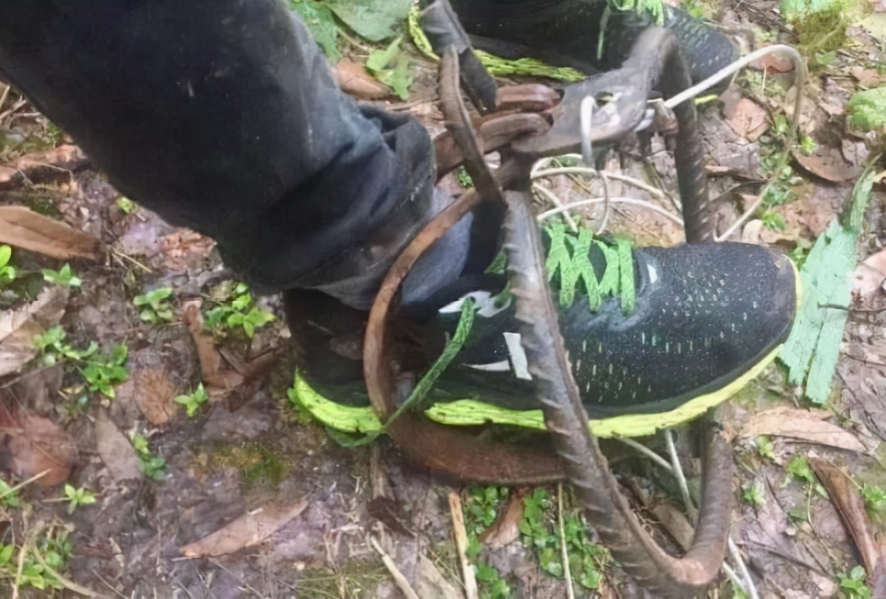 非法狩猎后果有多严重?