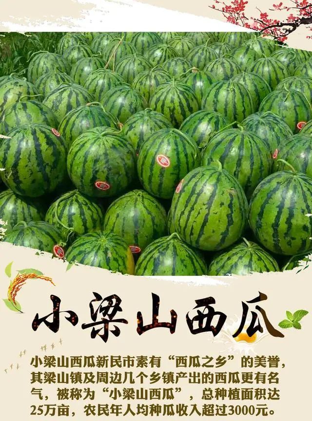 辽宁的特产你了解吗进来看看你都知道哪些