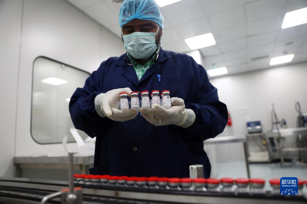 在埃及吉萨的埃及生物制品与疫苗公司疫苗生产厂,工作人员对贴标的新冠疫苗进行装盒前准备(2021年9月6日)。新华社发(艾哈迈德·戈马摄)