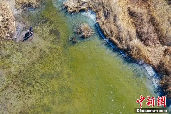 12.23 周四休闲区蓝鸢梦想 - Www.slyday.coM