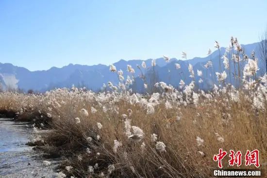 12.23 周四休闲区蓝鸢梦想 - Www.slyday.coM