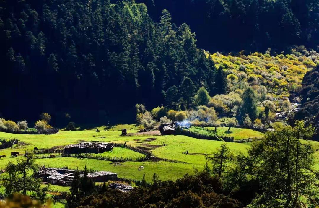 四川木里县长杨单祖:"黄金王国"要打造"四川黄金第一股"