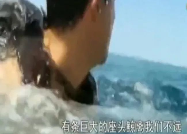 这位部长火了！坠海后游12小时上岸，贝爷和他比弱爆休闲区蓝鸢梦想 - Www.slyday.coM