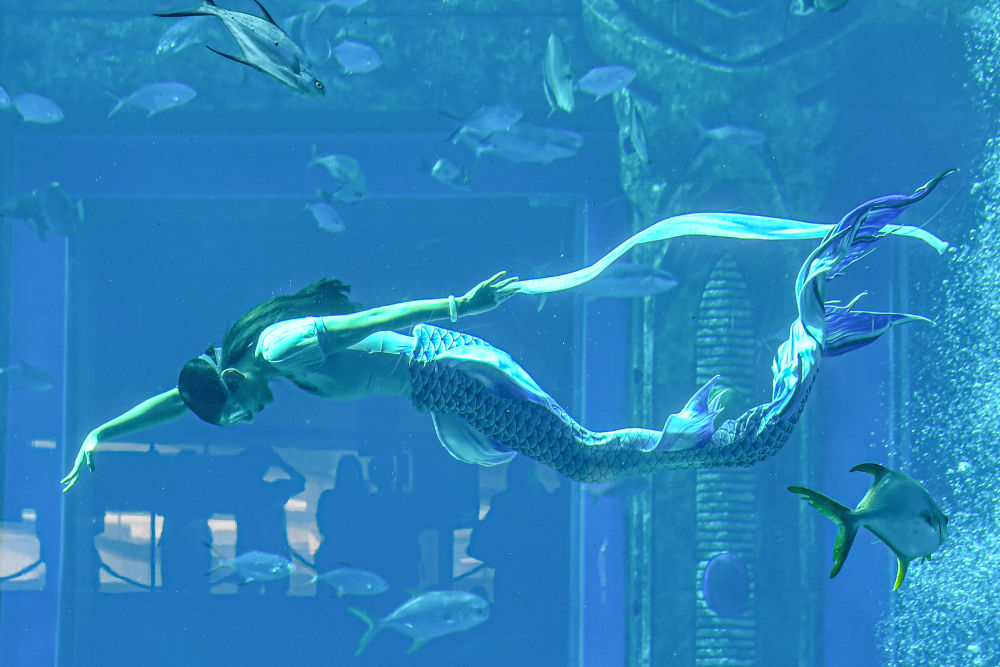 多图美人鱼国家级表演赛上演见证新兴水上运动蓬勃发展