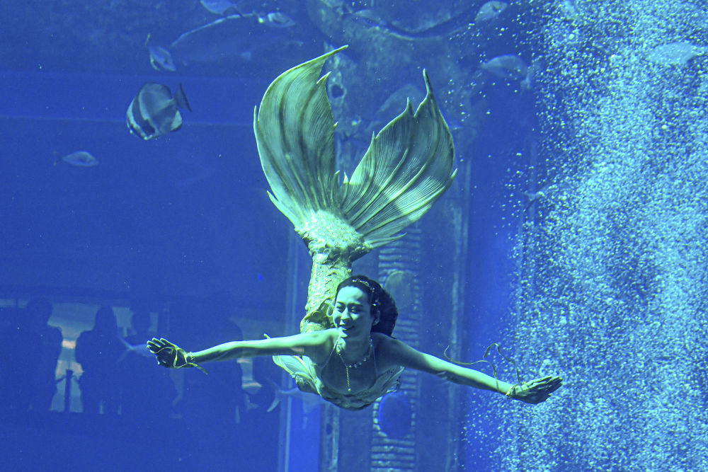 多图美人鱼国家级表演赛上演见证新兴水上运动蓬勃发展