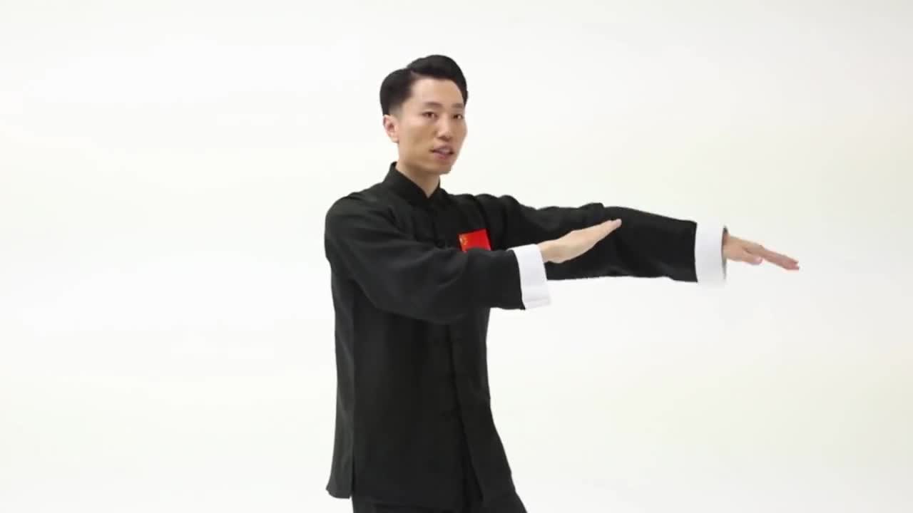 柴云龙详解《24式太极拳》第五式——手挥琵琶