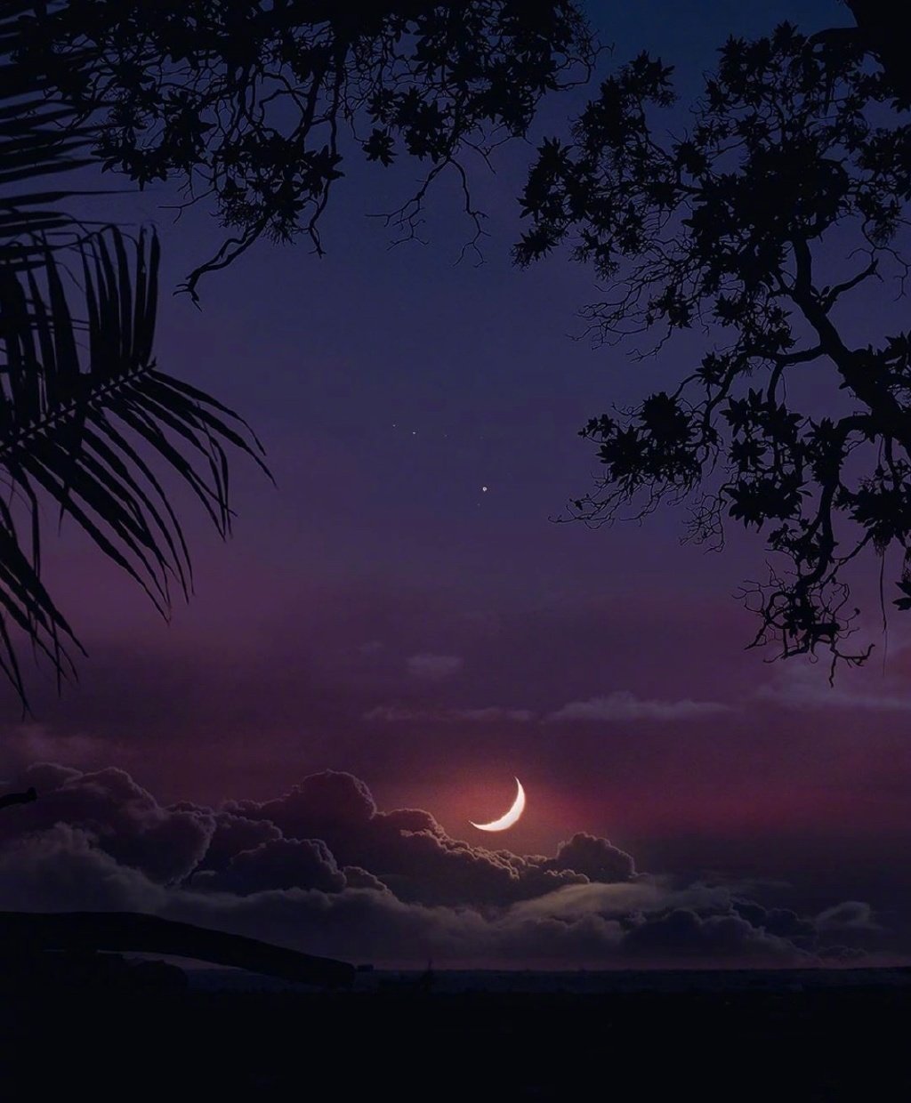 月遇从云花遇和风