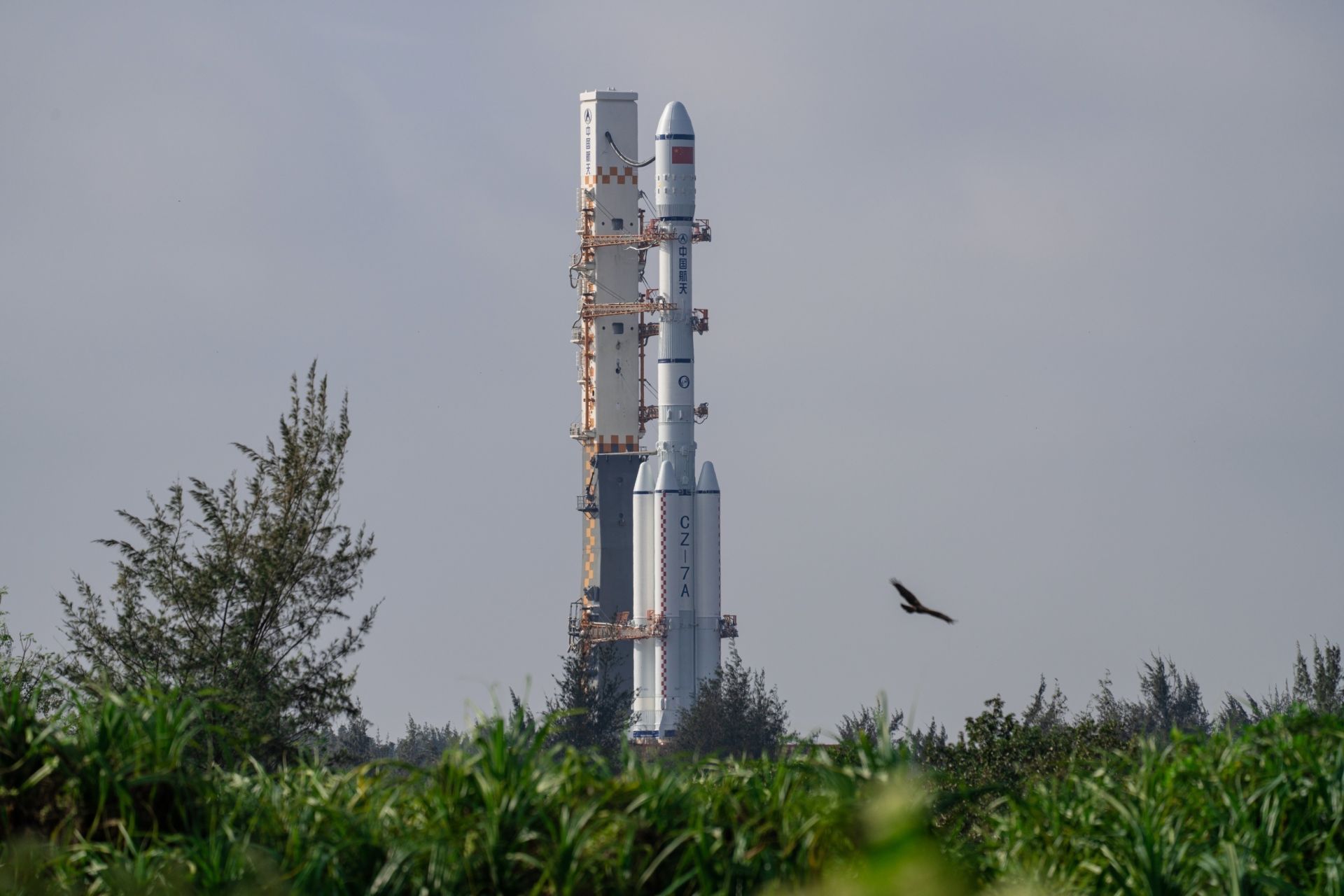 长征七号_新浪财经_新浪网