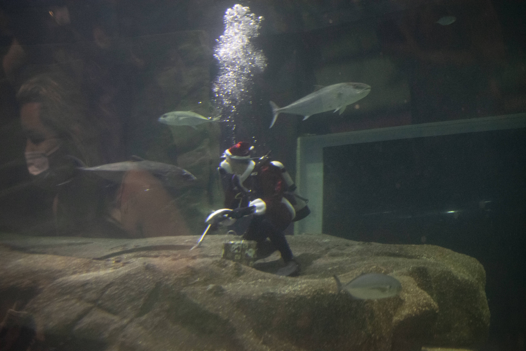 水中的“圣诞老人”休闲区蓝鸢梦想 - Www.slyday.coM