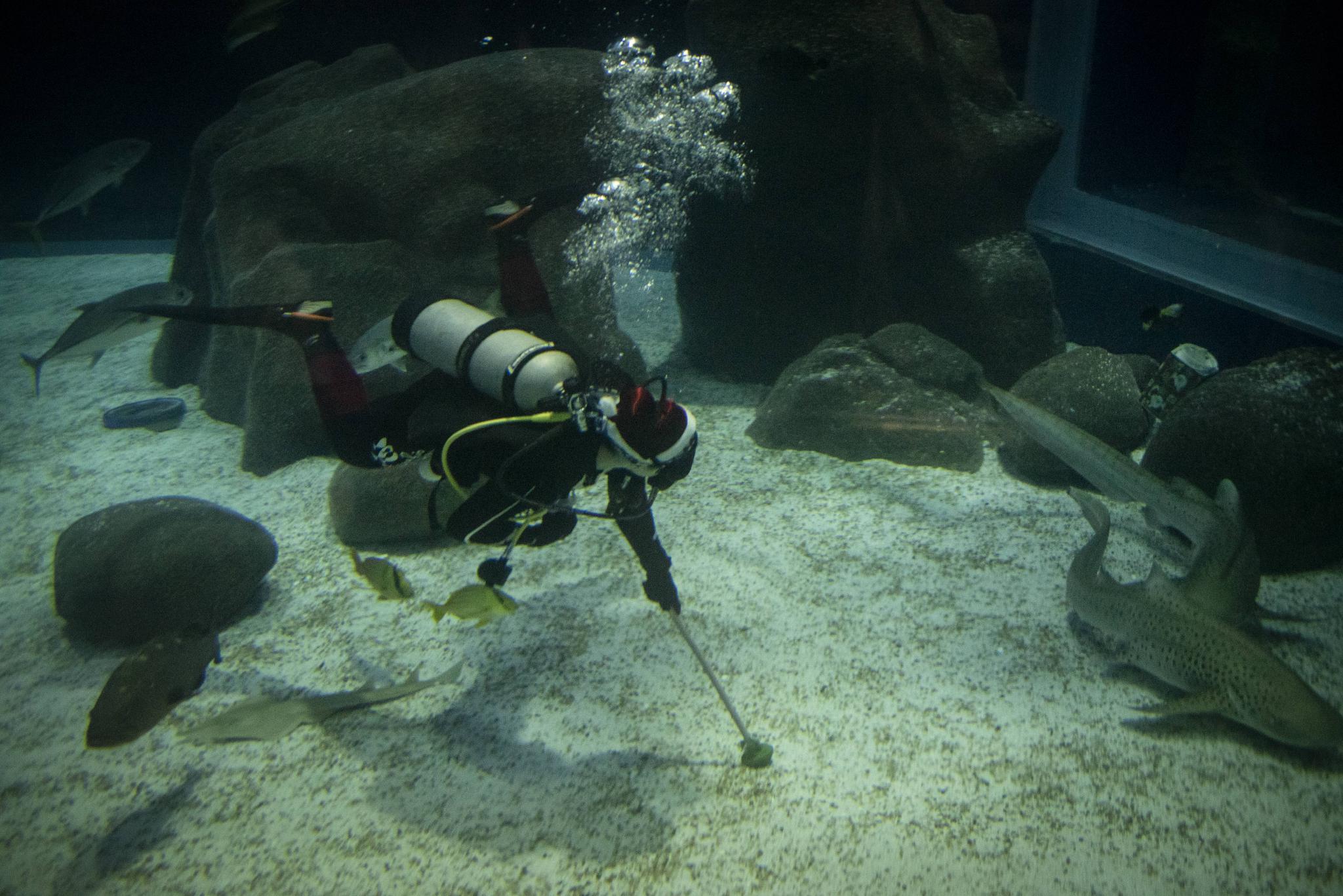 水中的“圣诞老人”休闲区蓝鸢梦想 - Www.slyday.coM