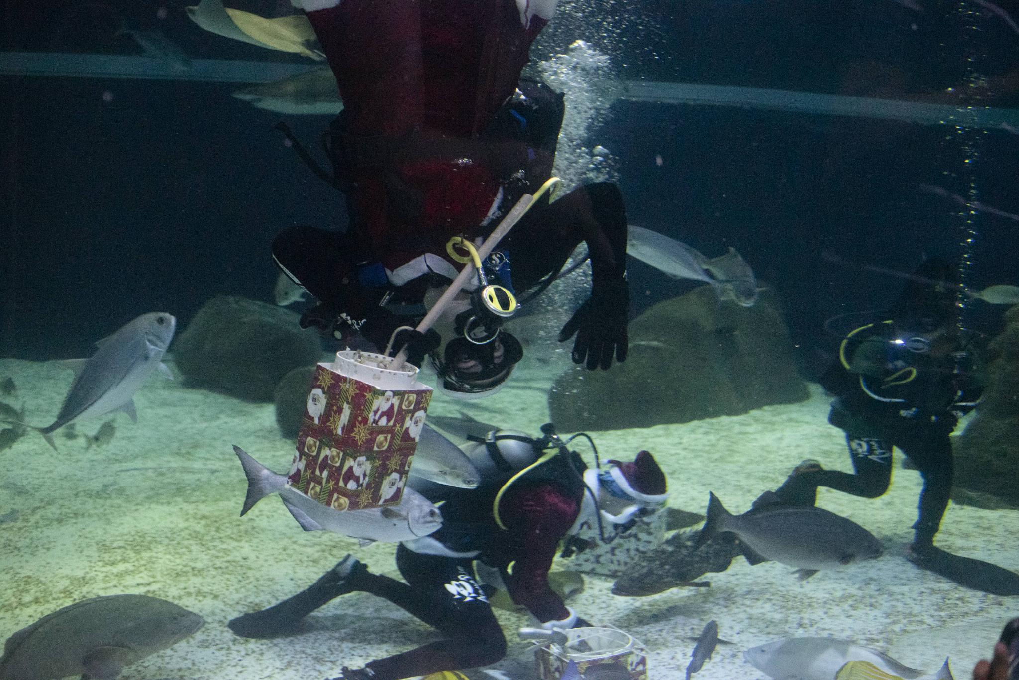 水中的“圣诞老人”休闲区蓝鸢梦想 - Www.slyday.coM