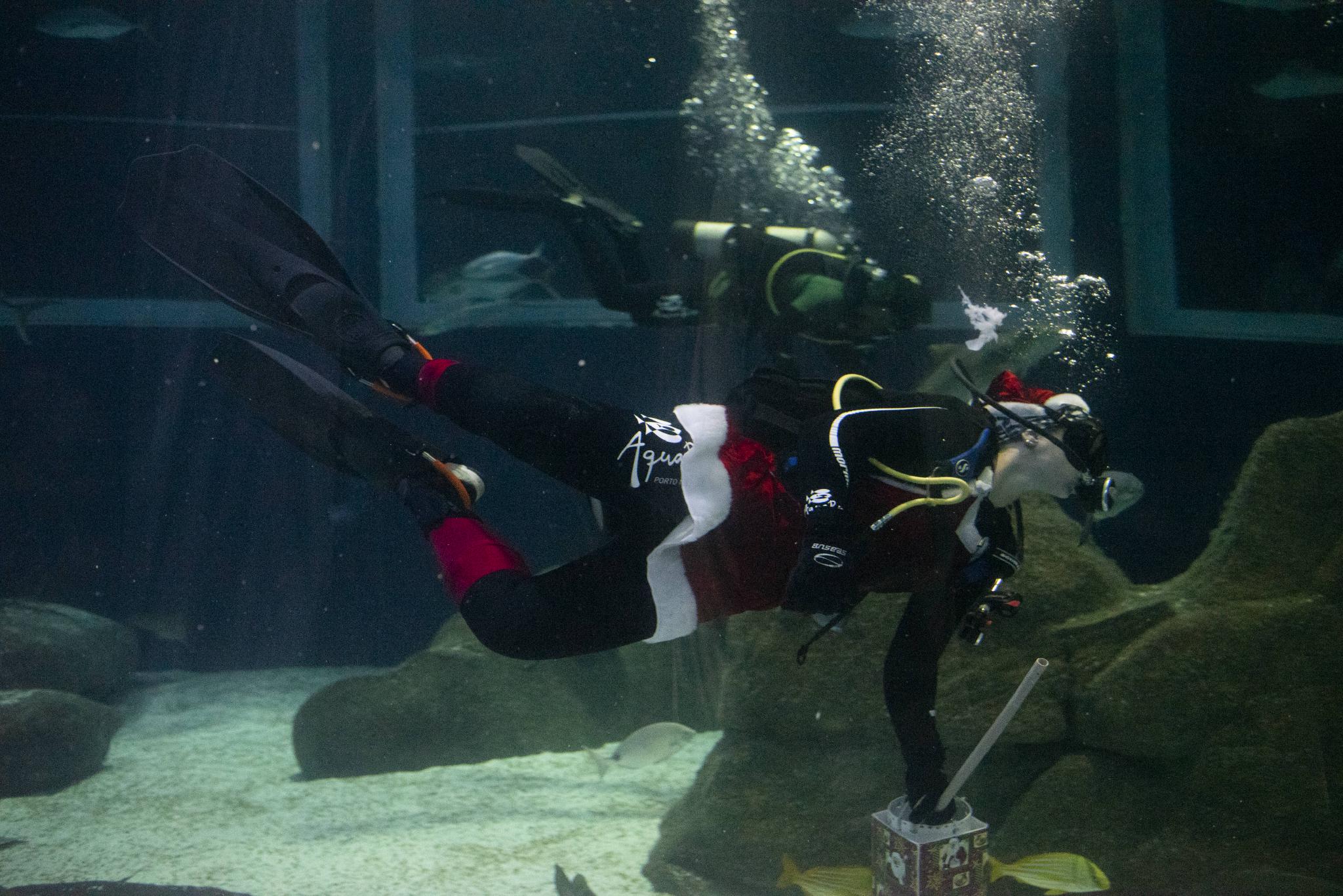 水中的“圣诞老人”休闲区蓝鸢梦想 - Www.slyday.coM