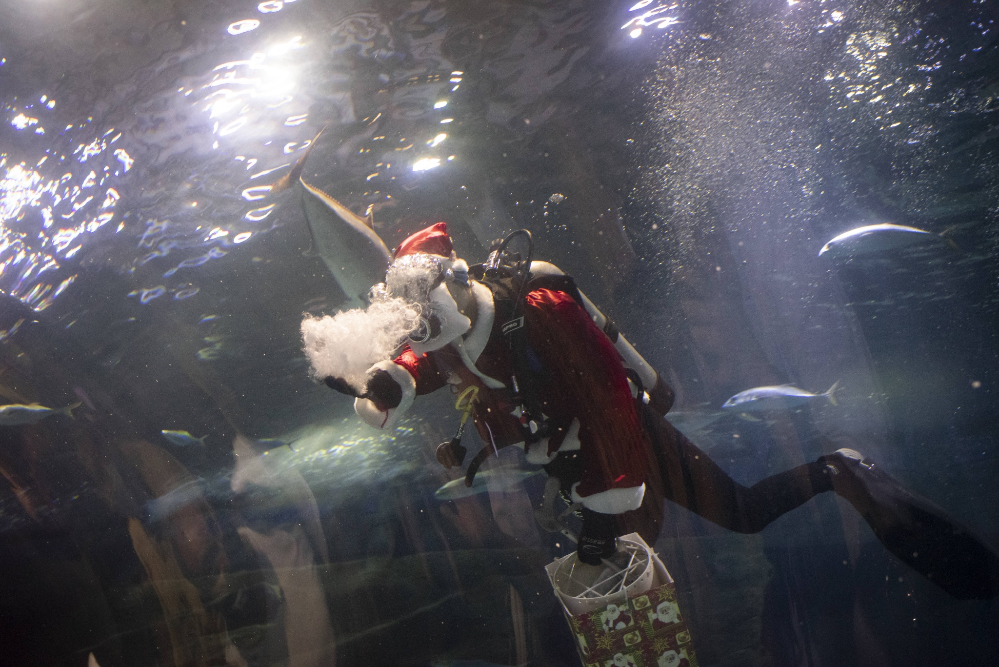 水中的“圣诞老人”休闲区蓝鸢梦想 - Www.slyday.coM