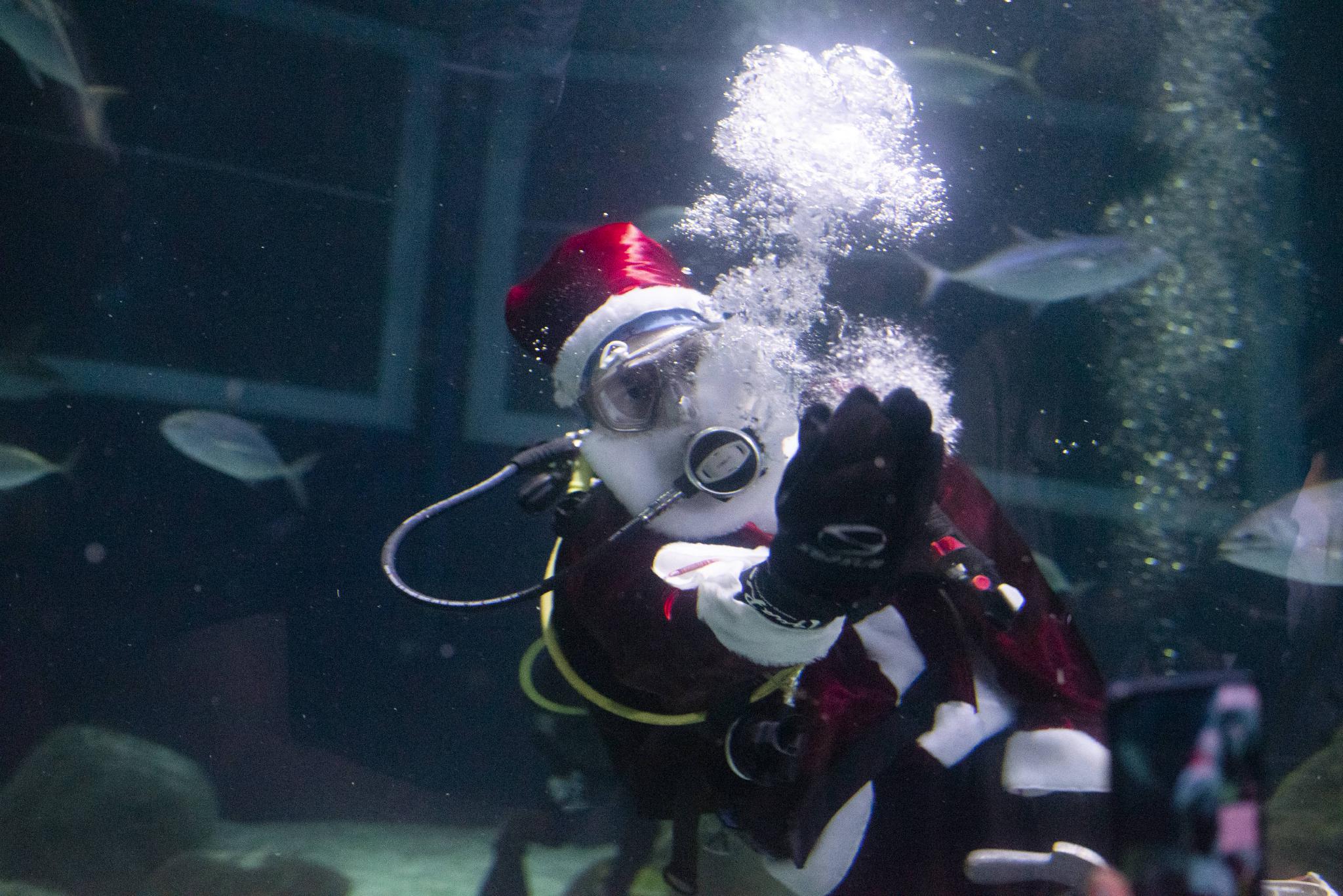 水中的“圣诞老人”休闲区蓝鸢梦想 - Www.slyday.coM