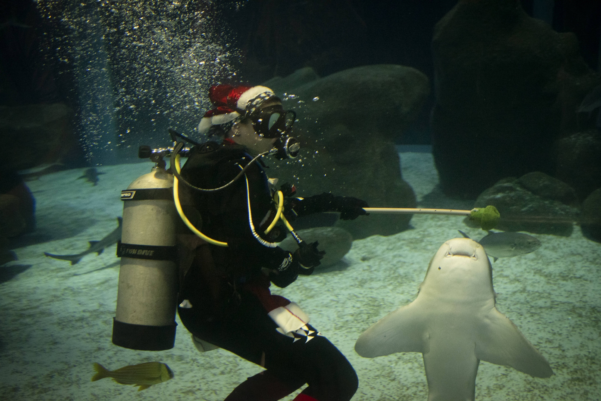 水中的“圣诞老人”休闲区蓝鸢梦想 - Www.slyday.coM