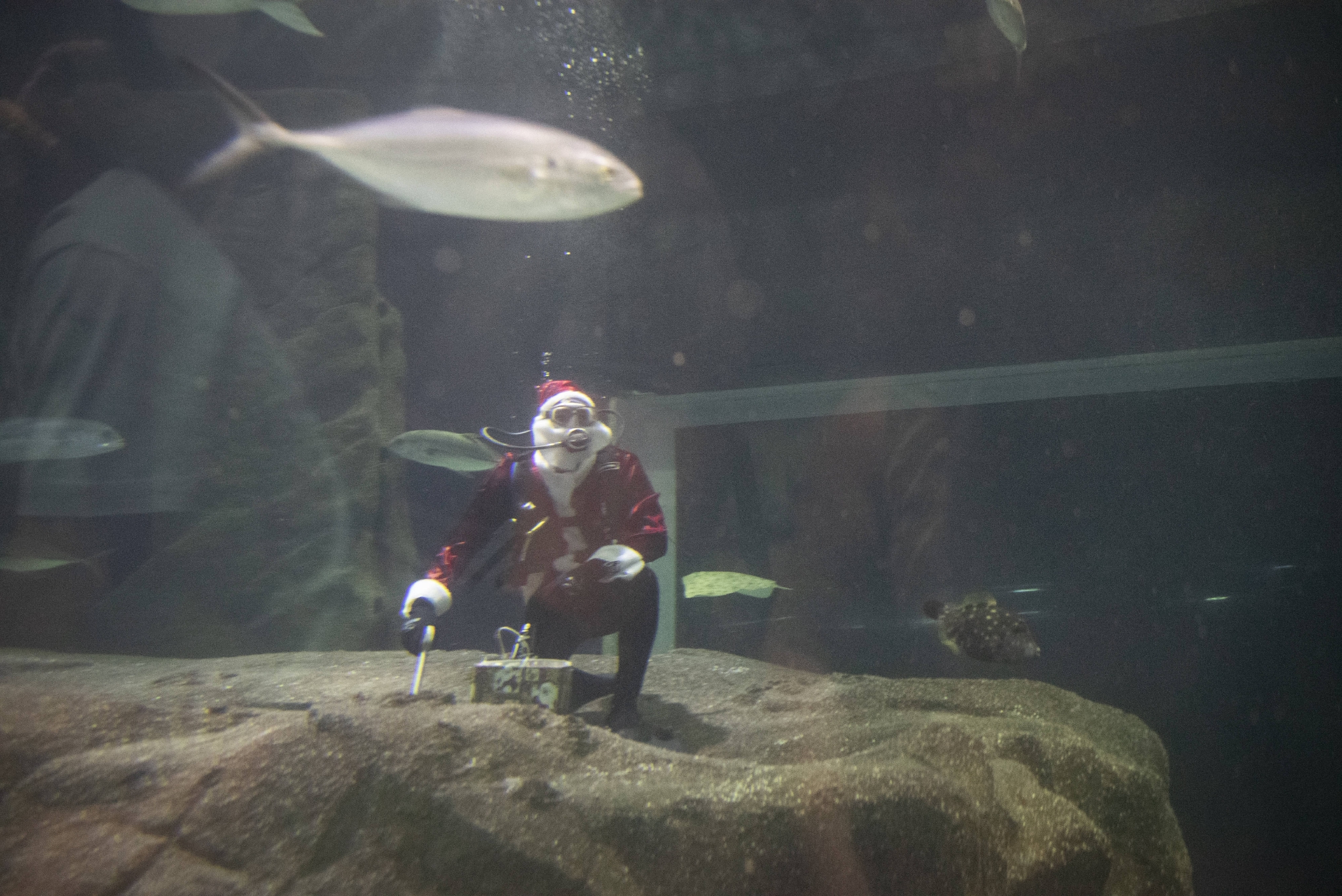 水中的“圣诞老人”休闲区蓝鸢梦想 - Www.slyday.coM