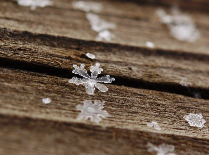 【雪】万里雪飘 | 雪花在歌唱|南京市_新浪新闻