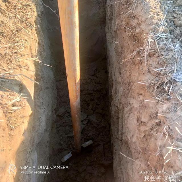 今天挖地锚坑__财经头条