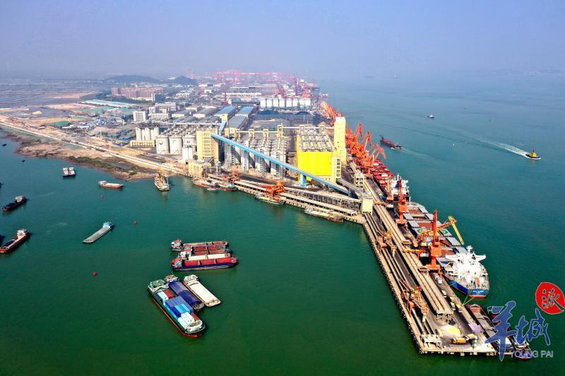 近日,广州港南沙港区粮食及通用码头扩建工程最后一段胸墙顺利浇筑