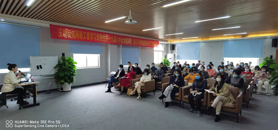 玉塘街道两新党员学习贯彻党的十九届六中全会精神休闲区蓝鸢梦想 - Www.slyday.coM