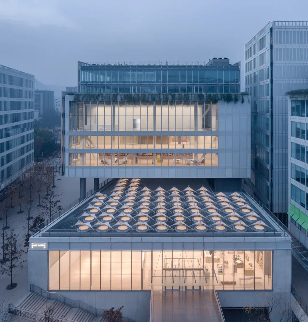 天目里中还有什么惊喜是我们不知道的