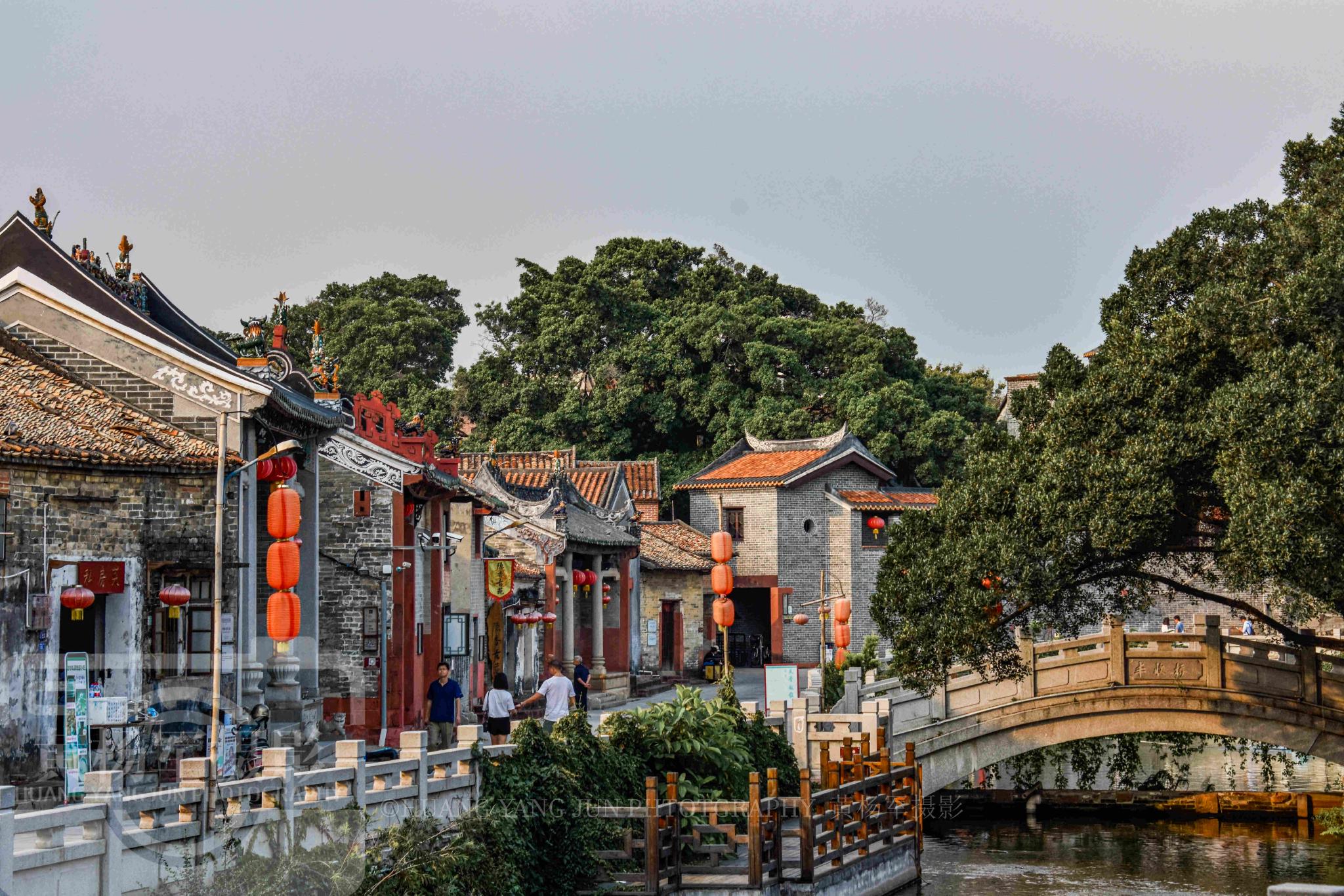 中国最具活力的特大城市城镇化率高达9210风景如画宜业宜游