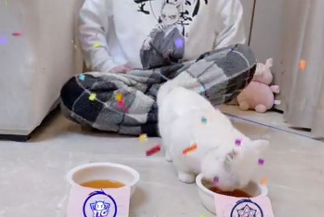 KPL秋季总决赛：TTH训练赛很强势，Gemini却预测eStar夺冠休闲区蓝鸢梦想 - Www.slyday.coM