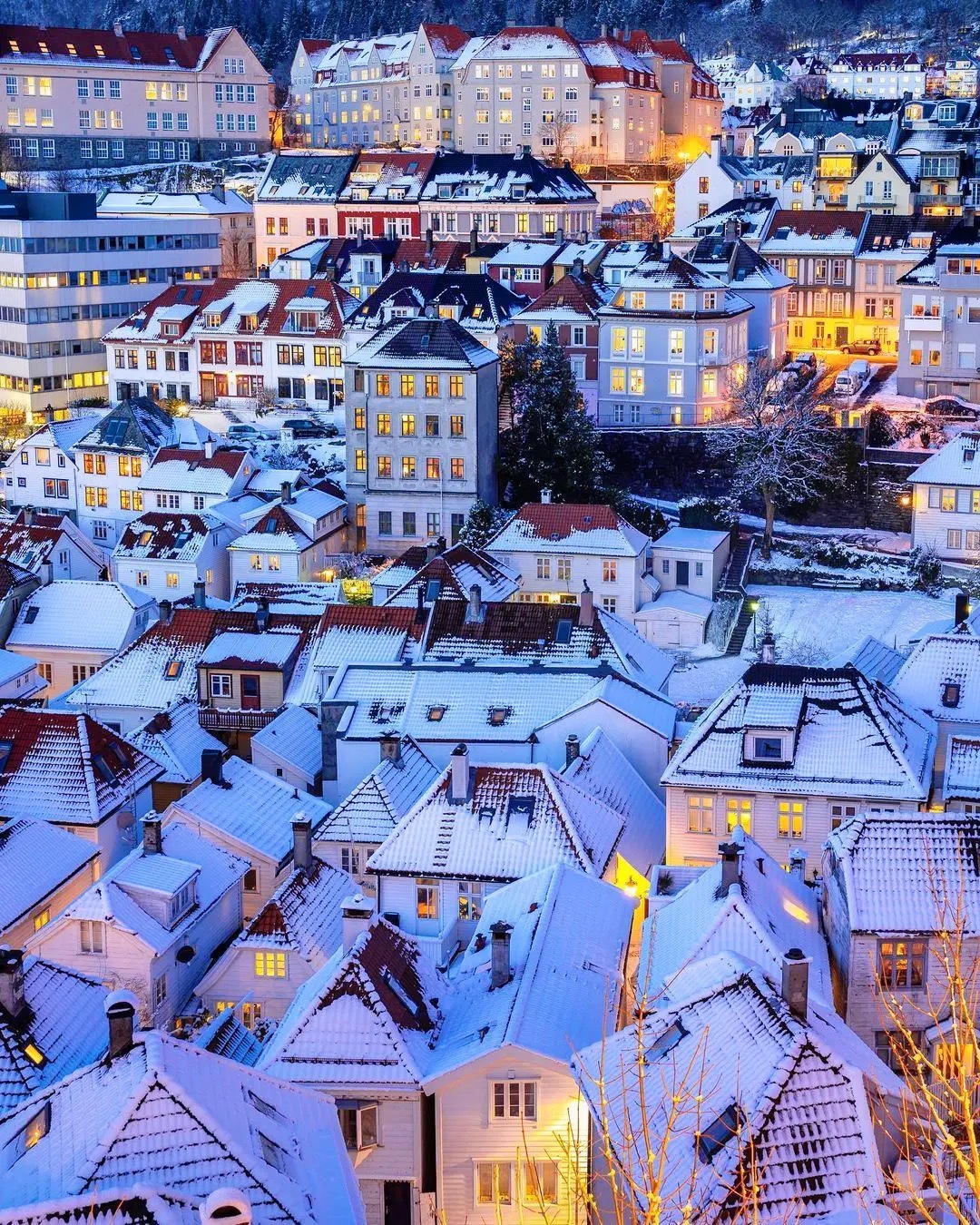 爱丁堡冬日夜howell