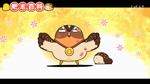 今天肥志百科动画讲的是鹌鹑,快去哔站发弹幕吧