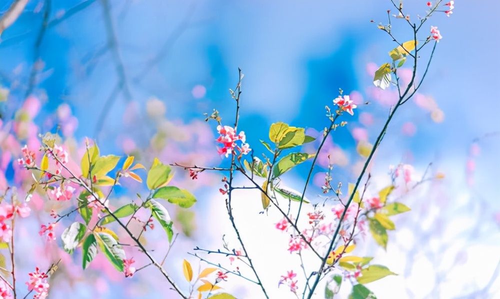 一个人的运气,是嘴决定的休闲区蓝鸢梦想 - Www.slyday.coM 一个人的运气,是嘴决定的休闲区蓝鸢梦想 - Www.slyday.coM