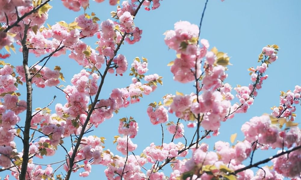 一个人的运气,是嘴决定的休闲区蓝鸢梦想 - Www.slyday.coM 一个人的运气,是嘴决定的休闲区蓝鸢梦想 - Www.slyday.coM