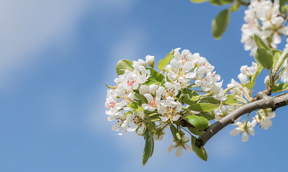 一个人的运气,是嘴决定的休闲区蓝鸢梦想 - Www.slyday.coM 一个人的运气,是嘴决定的休闲区蓝鸢梦想 - Www.slyday.coM