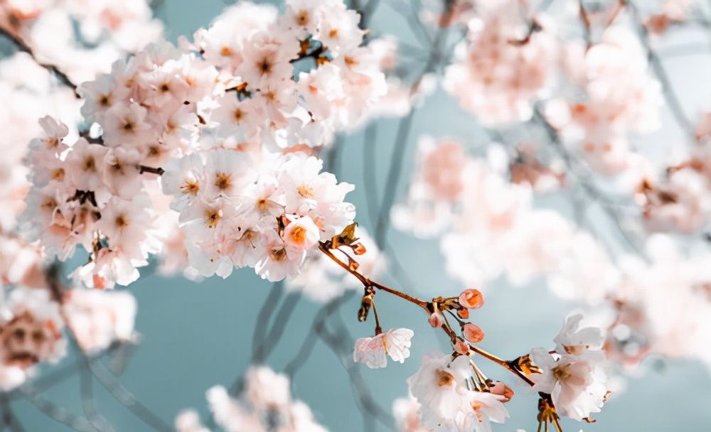 一个人的运气,是嘴决定的休闲区蓝鸢梦想 - Www.slyday.coM 一个人的运气,是嘴决定的休闲区蓝鸢梦想 - Www.slyday.coM