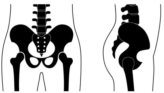 而是以大腿处的髋关节为枢纽,向肚子侧略带一定的前倾角度,平均13