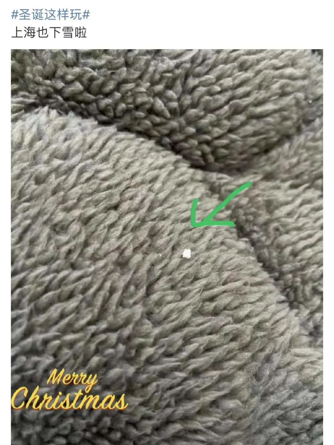 上海真的下雪了！要放大镜找的那种...进来看今日上海雪景有多夸张休闲区蓝鸢梦想 - Www.slyday.coM