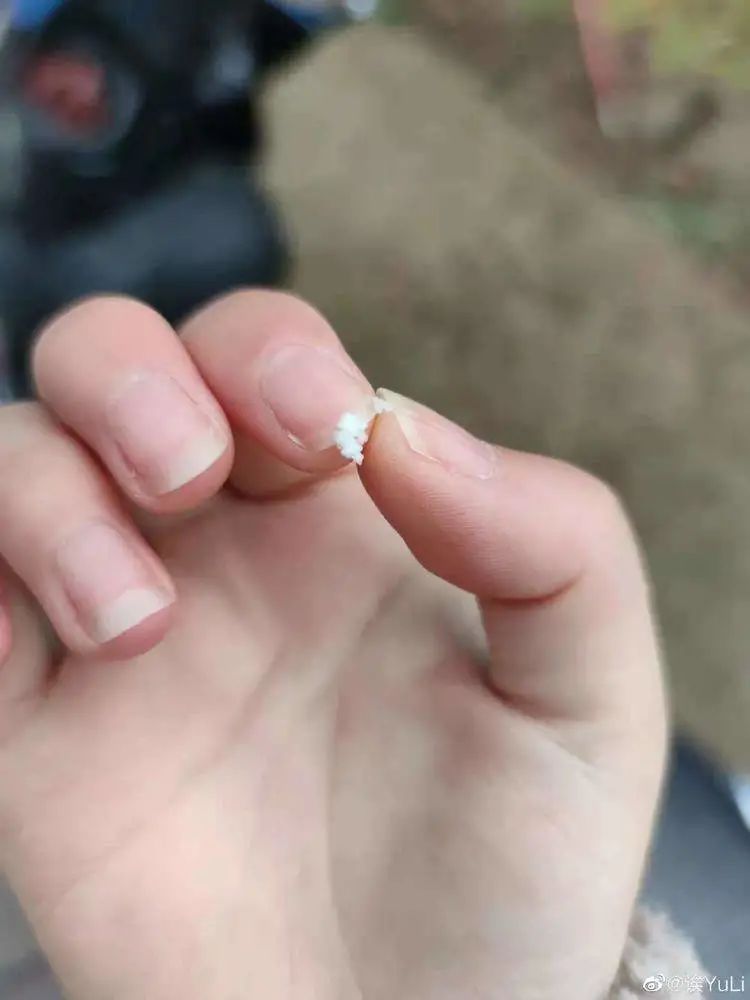 上海下雪了！后天最低休闲区蓝鸢梦想 - Www.slyday.coM