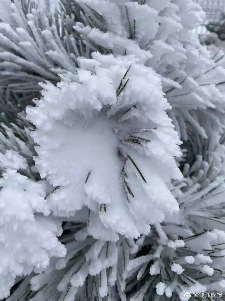 上海下雪了！后天最低休闲区蓝鸢梦想 - Www.slyday.coM