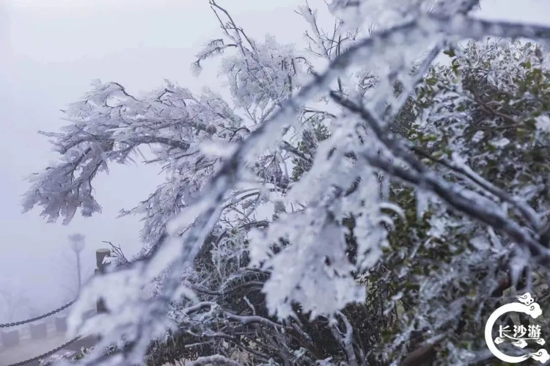 长沙又一地加入下雪群聊！让小编数数，有多少人在等它来？休闲区蓝鸢梦想 - Www.slyday.coM